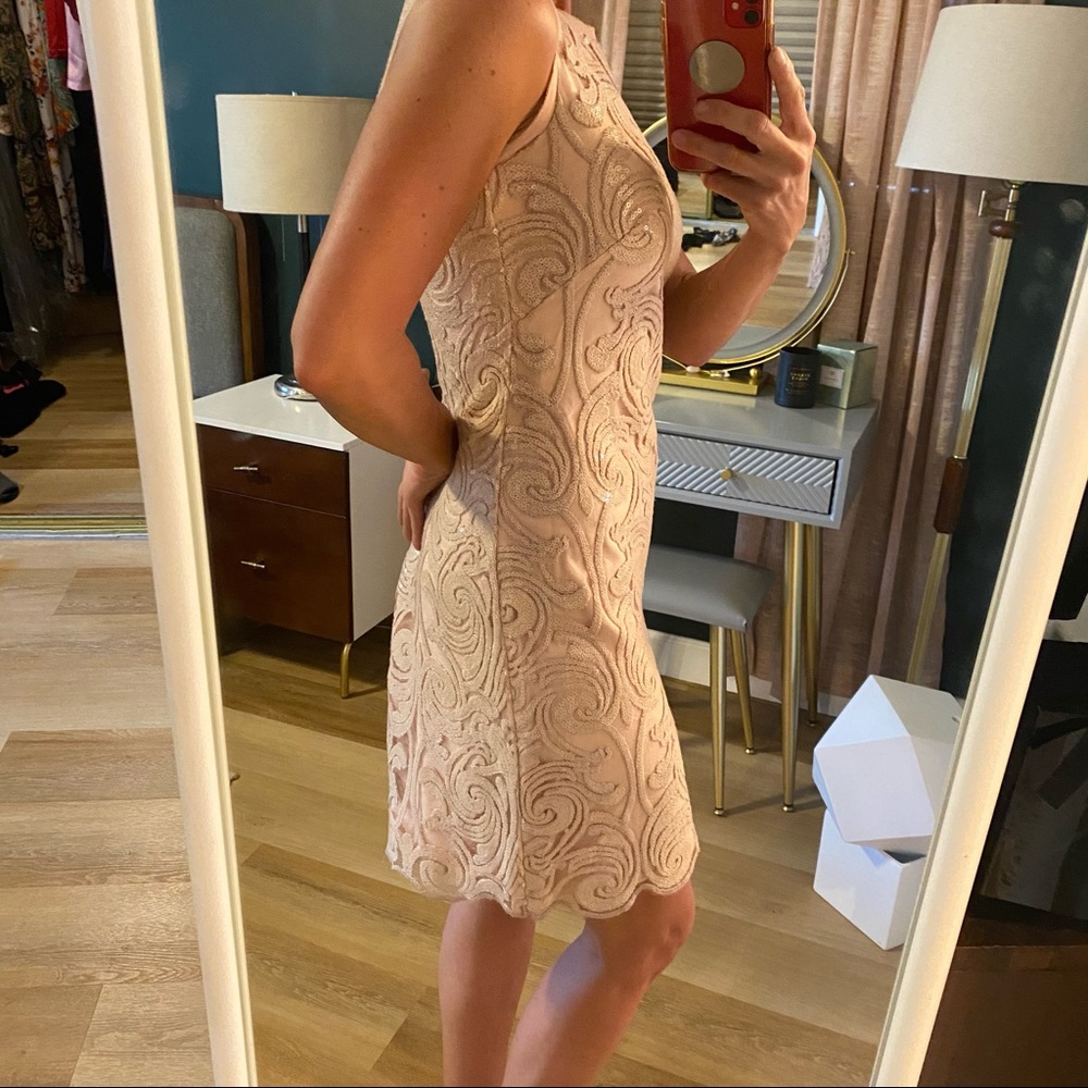 Vince Camuto Blush Lace Dress - Picture 8 of 13